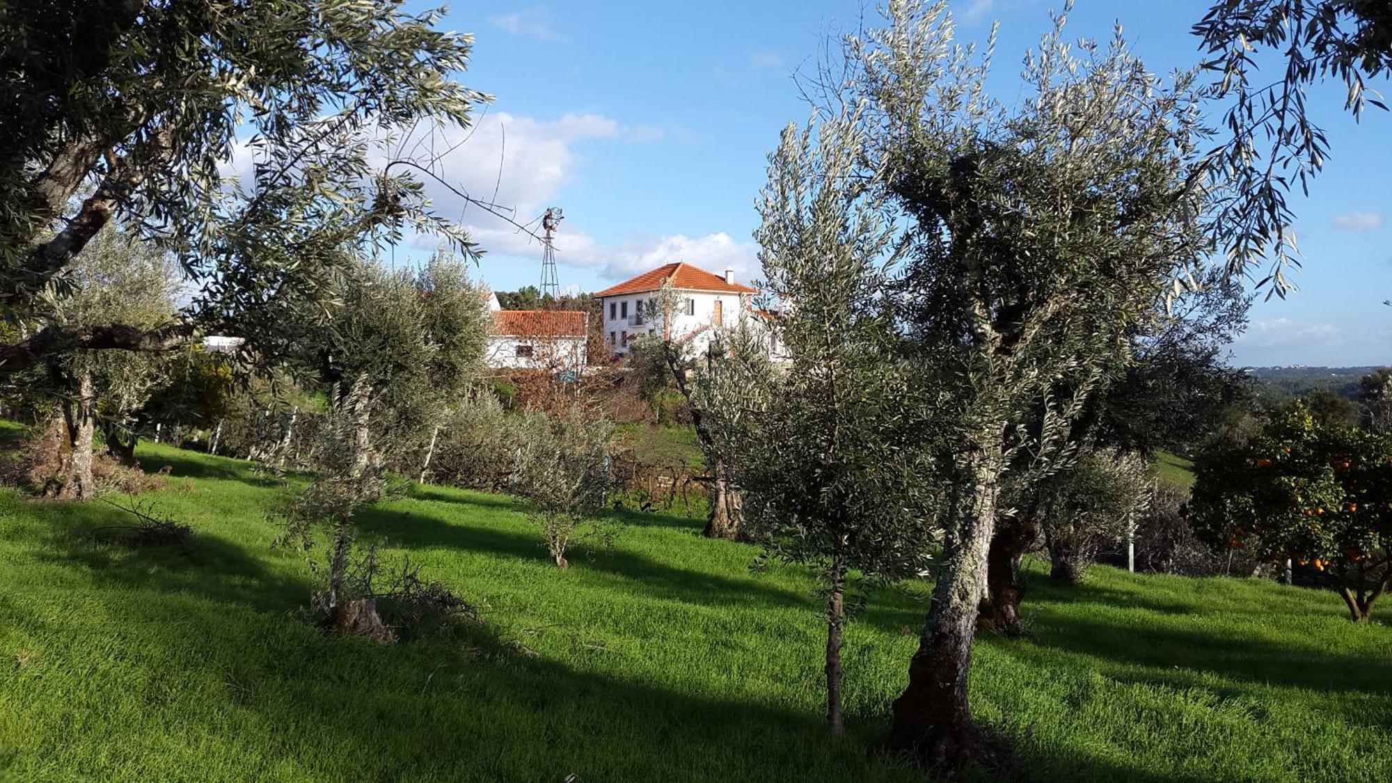 مبيت وإفطار Sertã Quinta Quatro Ventos المظهر الخارجي الصورة