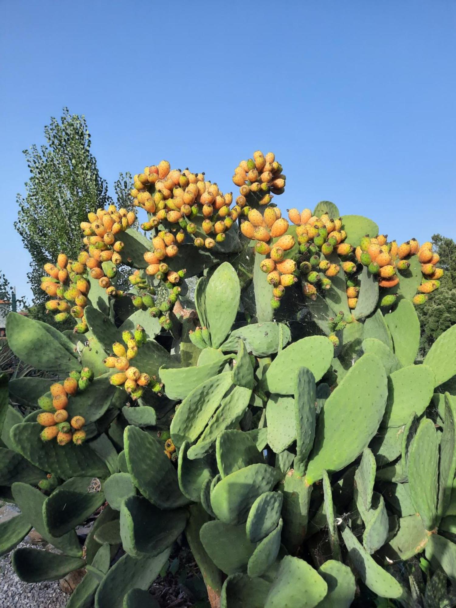 مبيت وإفطار Sertã Quinta Quatro Ventos المظهر الخارجي الصورة